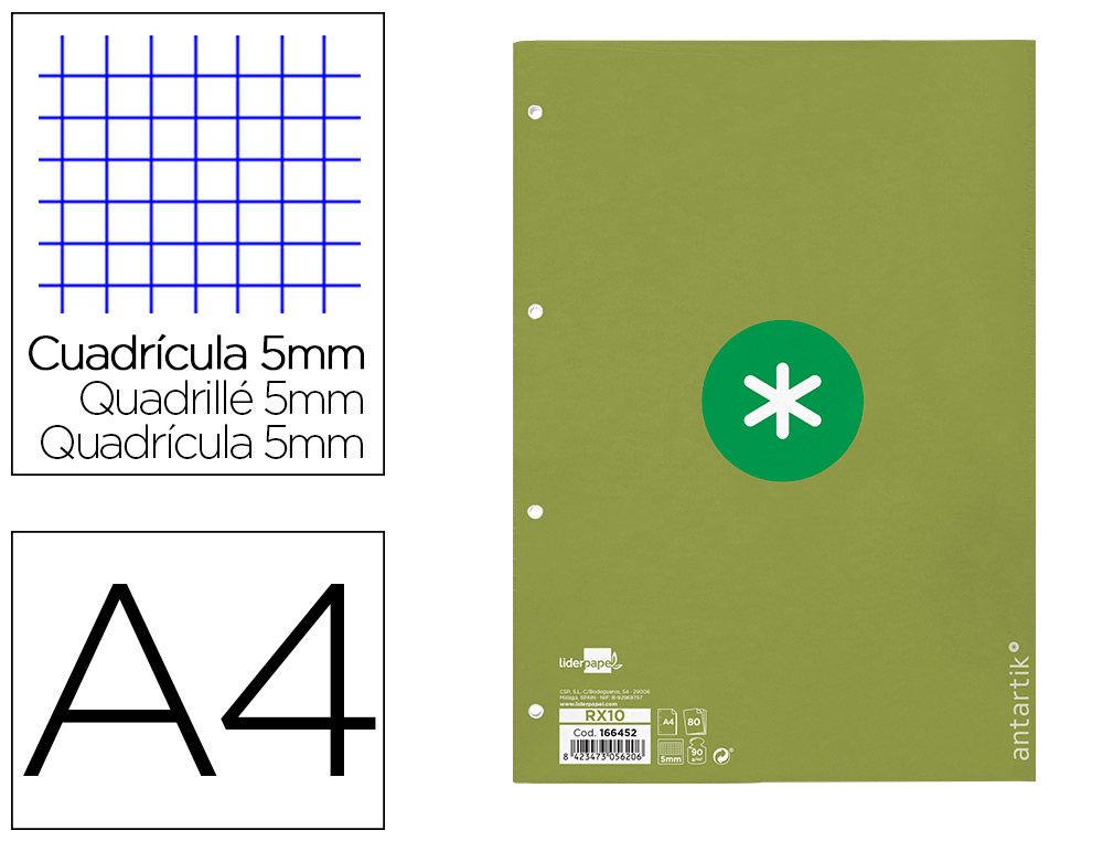 RECARGA LIDERPAPEL A4 ANTARTIK 80 FOLHAS 90G/M2 QUADRICULA 5MM 4 FUROS 1 BANDA COM MOLDURA COR MENTA