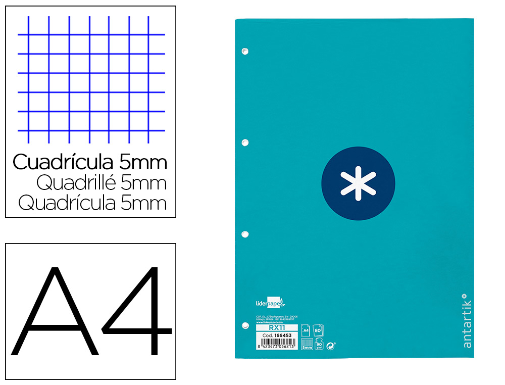 RECARGA LIDERPAPEL A4 ANTARTIK 80 FOLHAS 90G/M2 QUADRICULA 5MM 4 FUROS 1 BANDA COM MOLDURA COR TURQUESA