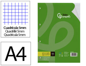 Recarga liderpapel a4 100 folhas 100 gr quadricula 5 mm com margem 4 furos