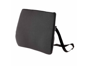 Encosto ergonomico fellowes lombar acolchoado breyta comfort cor preto 330x380x90 mm