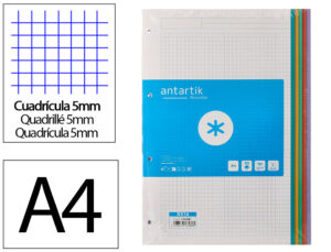 Recarga a4 antartik 80 folhas 90 gr quadricula 5 mm 4 furos bandas de 5 cores pastel