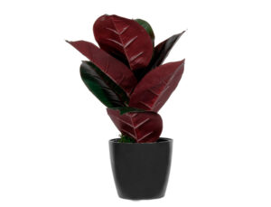 Planta artificial paperflow figueira elastica 36 cm